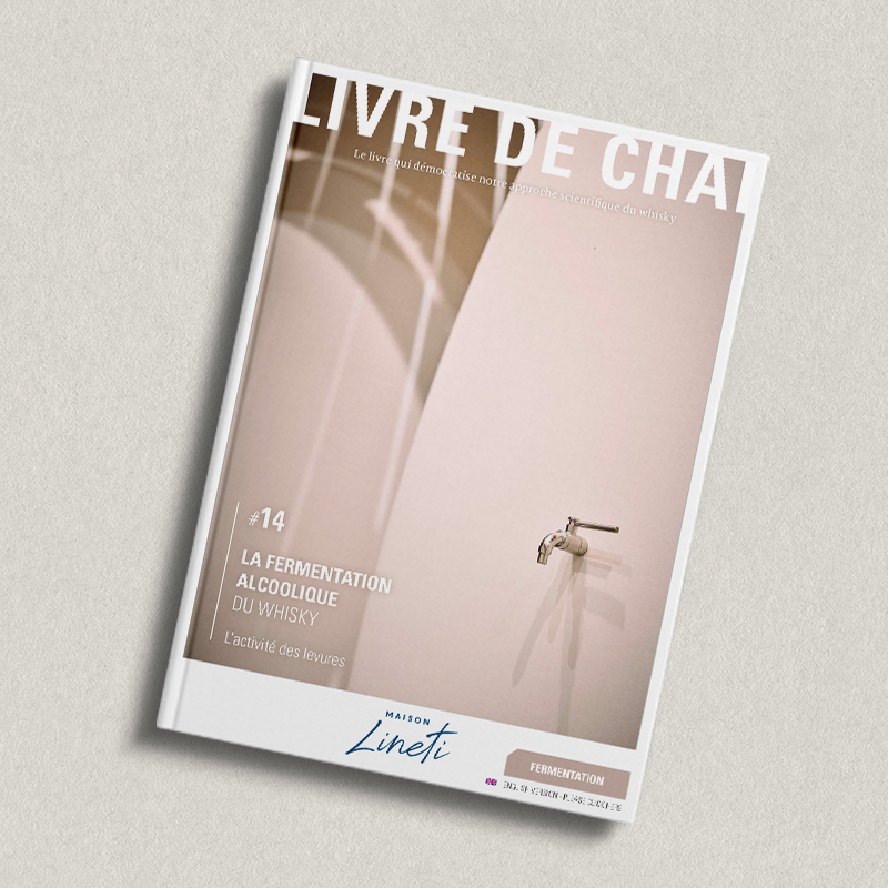 L'activité des levures dans la fermentation