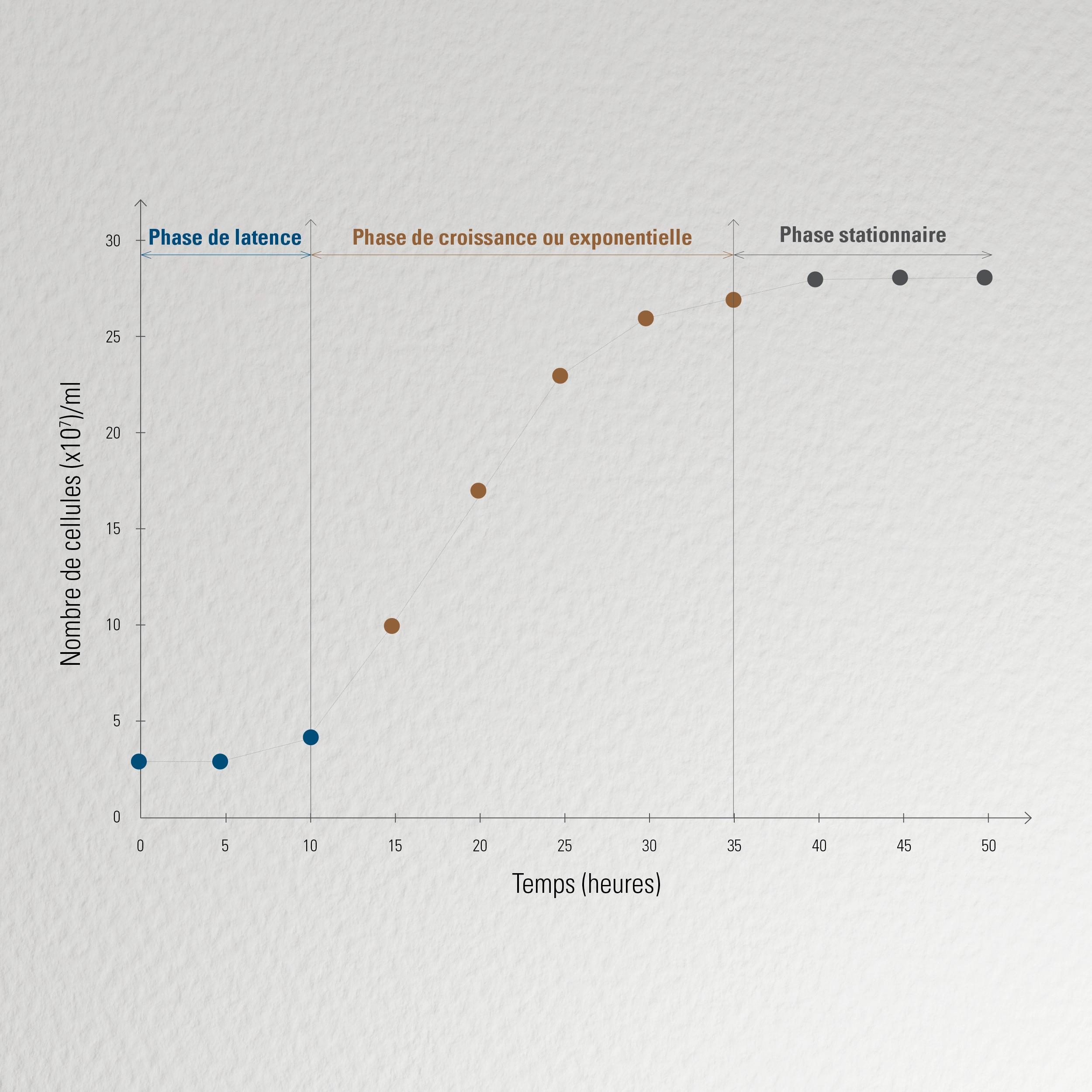 Courbe de croissance des levures