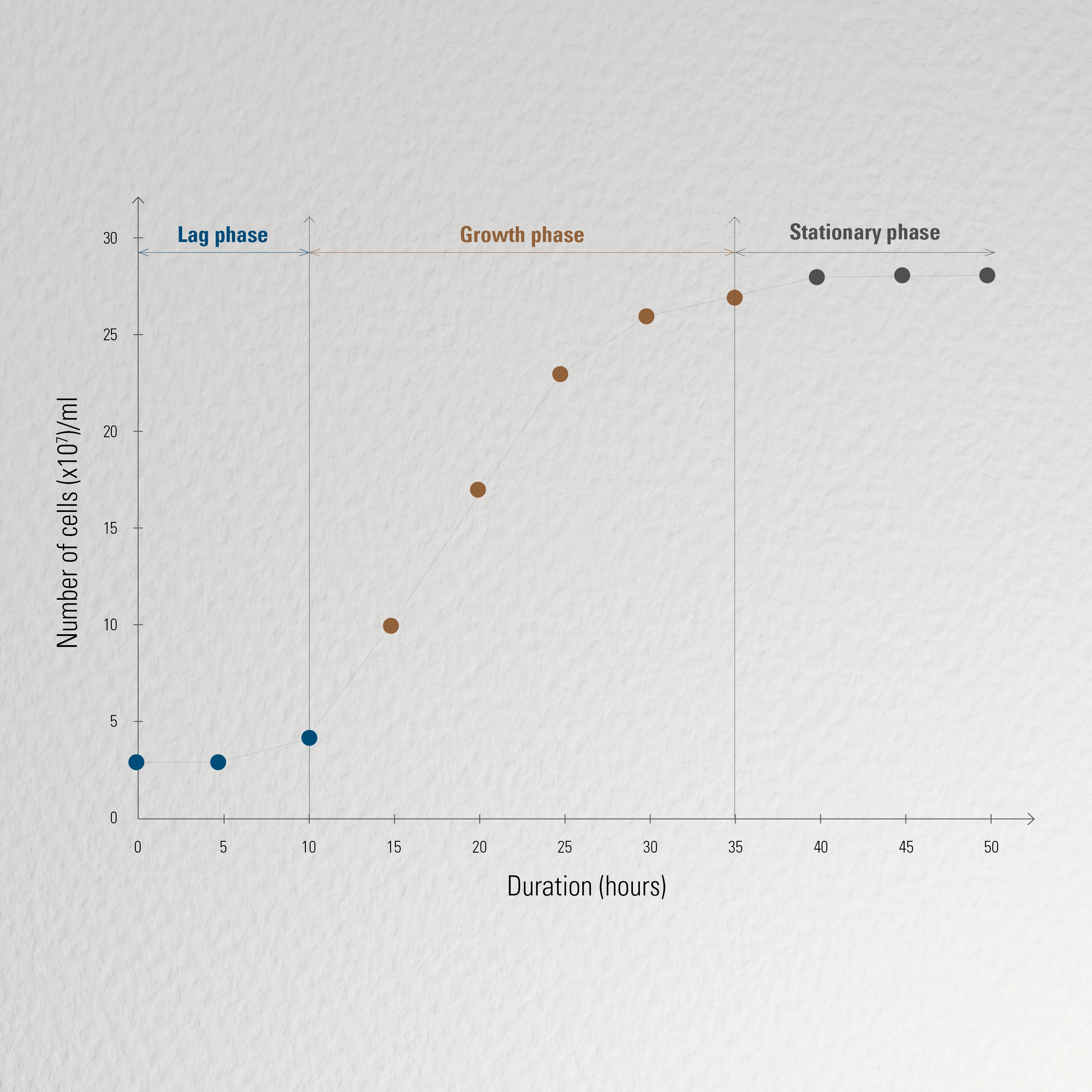 Yeast’s growth curve